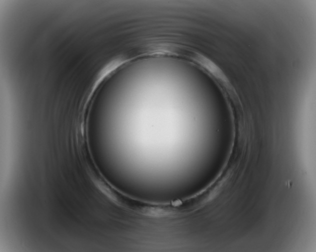 X0000086111234200703301230