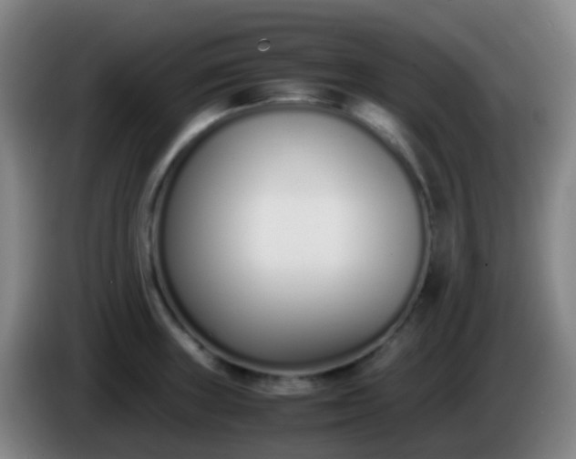 X0000086111235200703301230