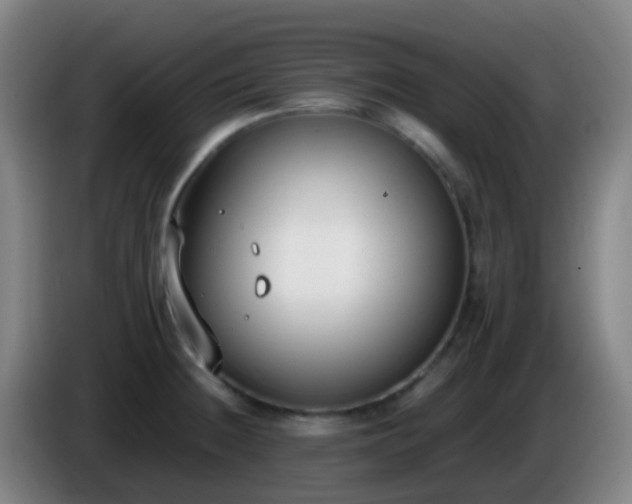 X0000086111236200703301230