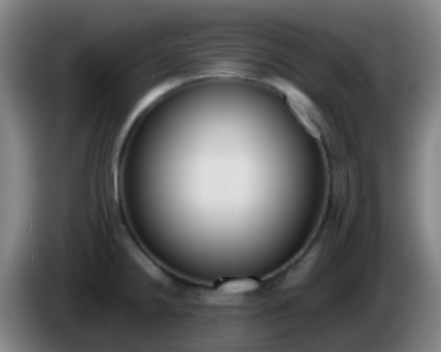 X0000086111238200703301230