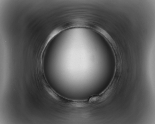 X0000086111242200703301230