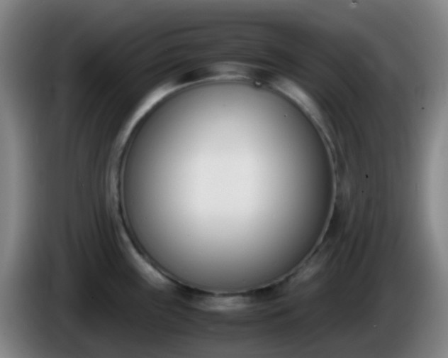 X0000086111243200703301230