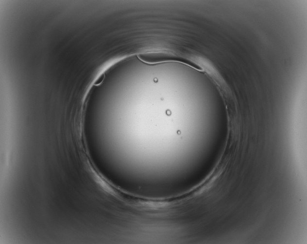 X0000086111244200703301230