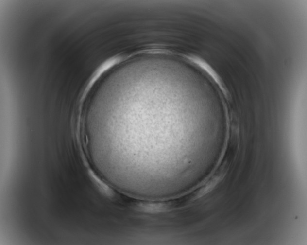 X0000086111245200703301230