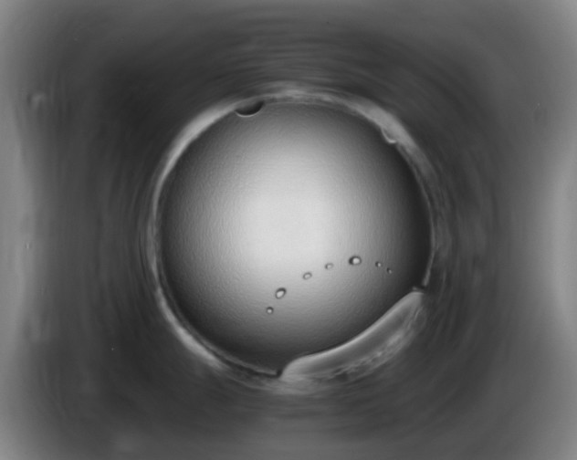 X0000086111247200703301230