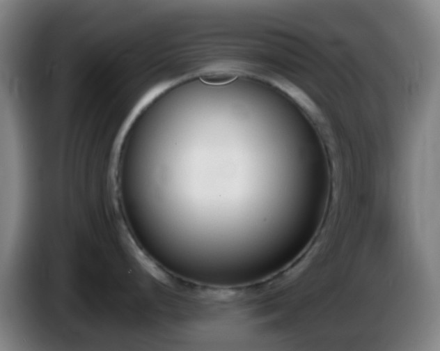 X0000086111248200703301230