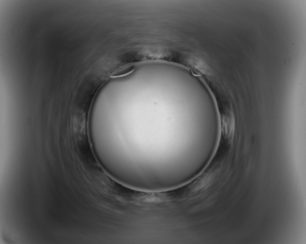 X0000086111251200703301229