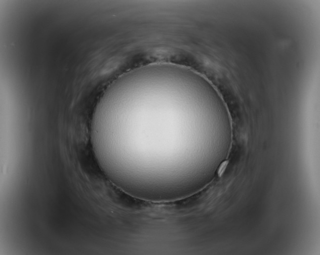 X0000086111253200703301229