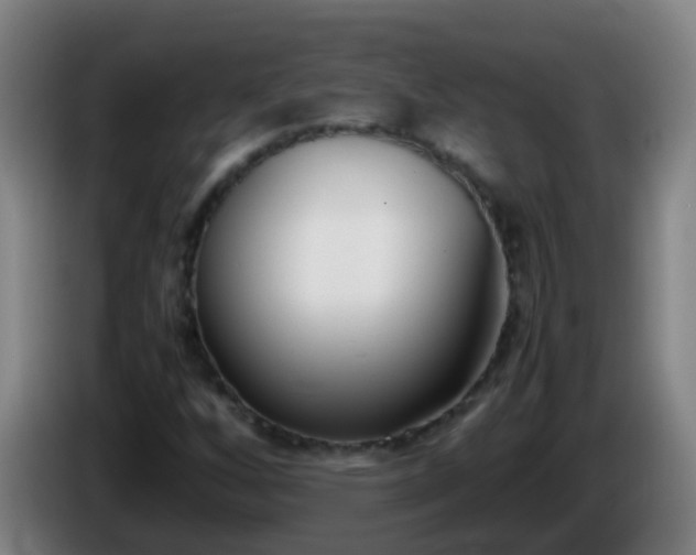 X0000086111256200703301229