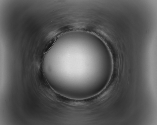 X0000086111257200703301229