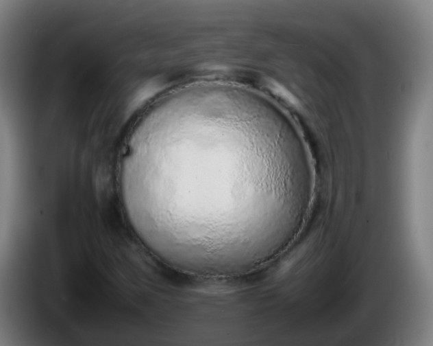 X0000086111259200703301229