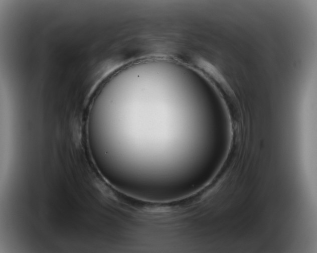 X0000086111260200703301229