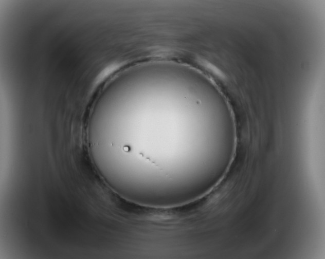 X0000086111267200703301229