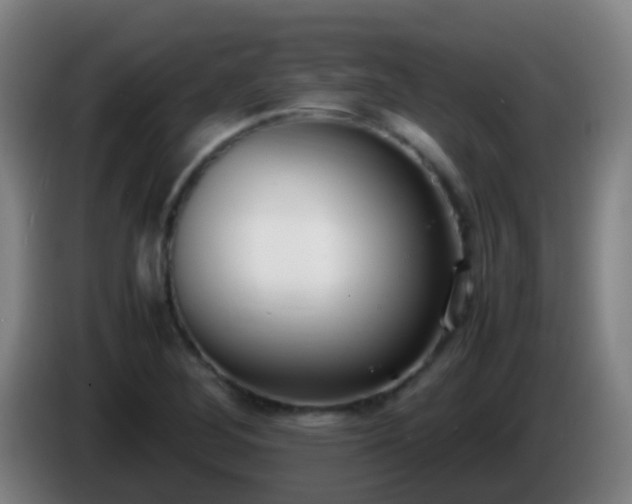 X0000086111268200703301229