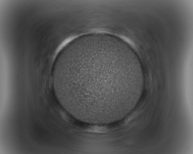 X0000086111271200703301229