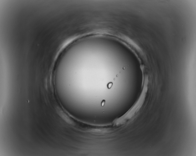 X0000086111272200703301229