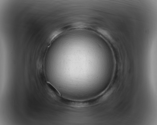 X0000086111273200703301229