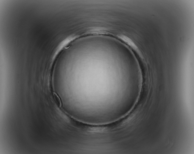 X0000086111277200703301229