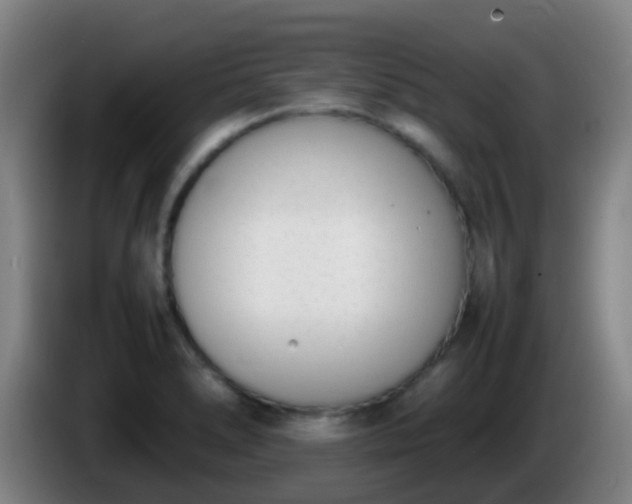 X0000086111278200703301229