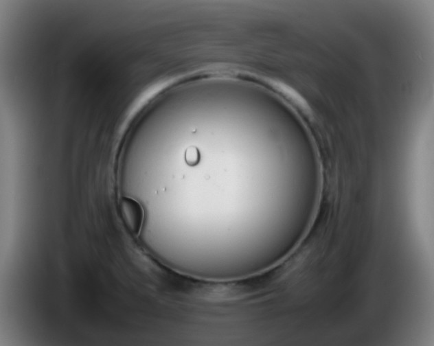 X0000086111279200703301229