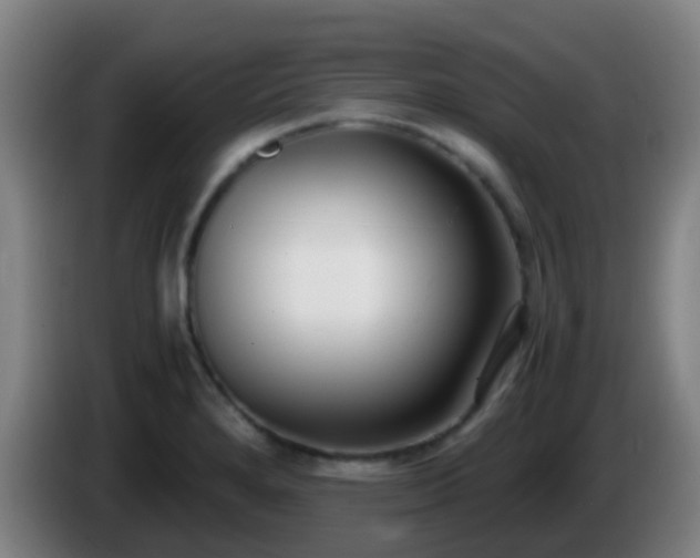 X0000086111280200703301229