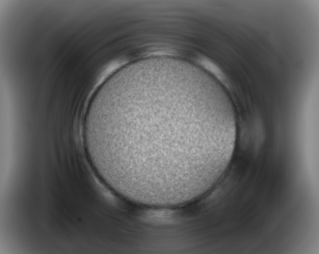 X0000086111282200703301229