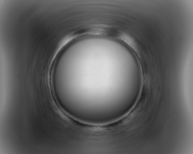 X0000086111283200703301229