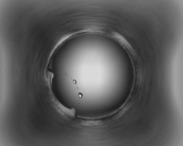 X0000086111284200703301229