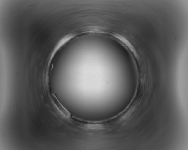 X0000086111285200703301229