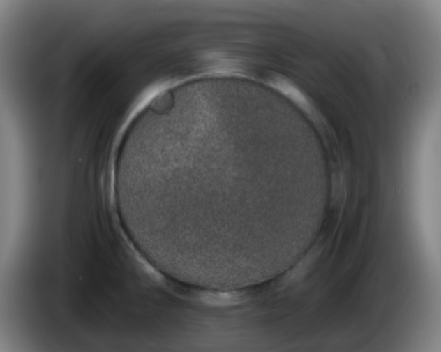 X0000086111286200703301229