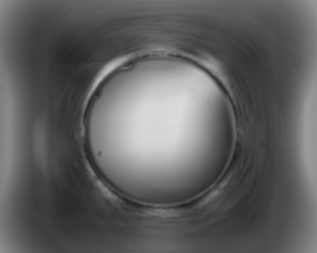 X0000086111287200703301229