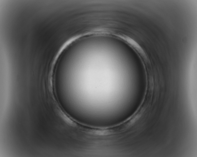 X0000086111288200703301229