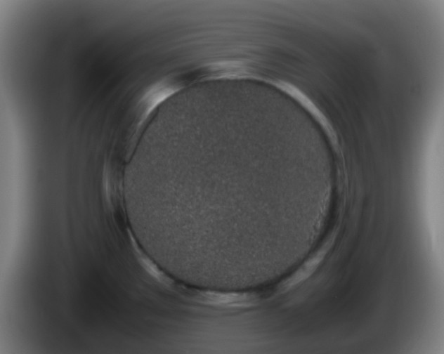 X0000086111289200703301229