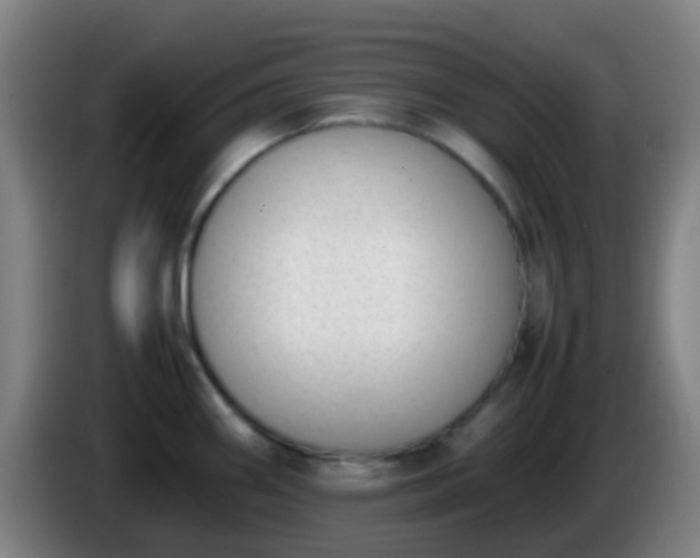 X0000086111290200703301229