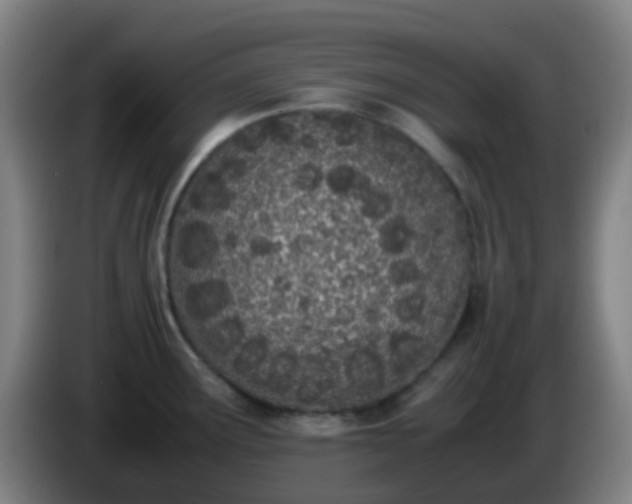 X0000086111291200703301229