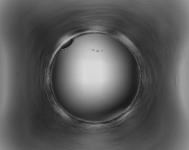 X0000086111292200703301229