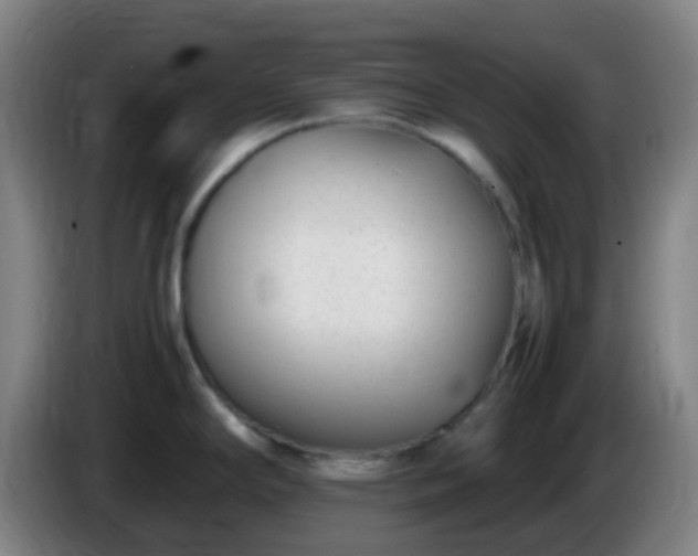 X0000086111294200703301228