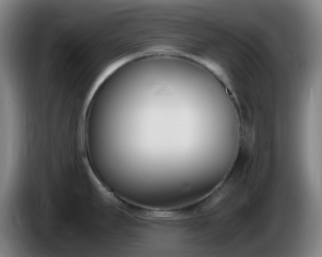 X0000086111295200703301228