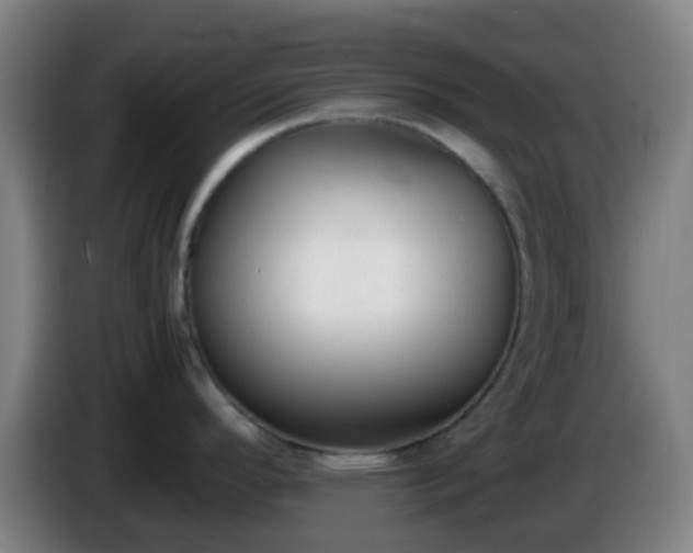 X0000086111296200703301228