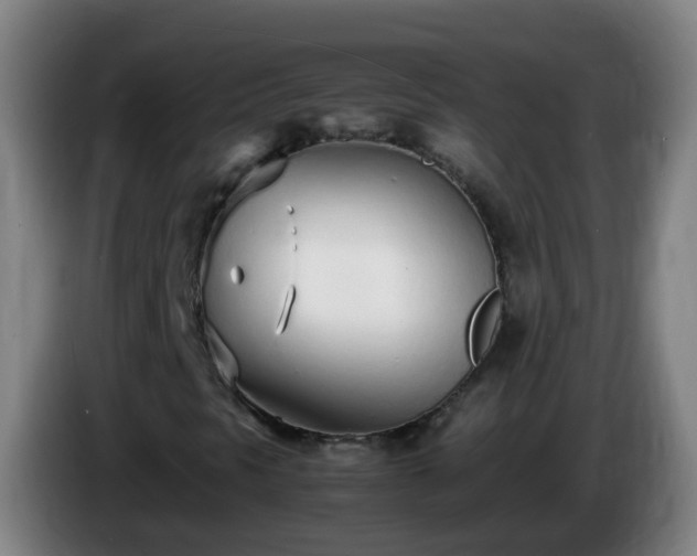 X0000086111297200703301228