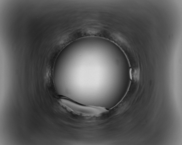 X0000086111299200703301228