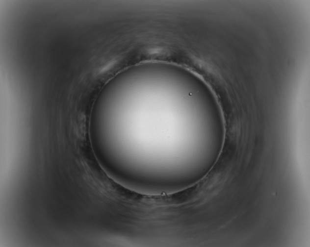 X0000086111301200703301228