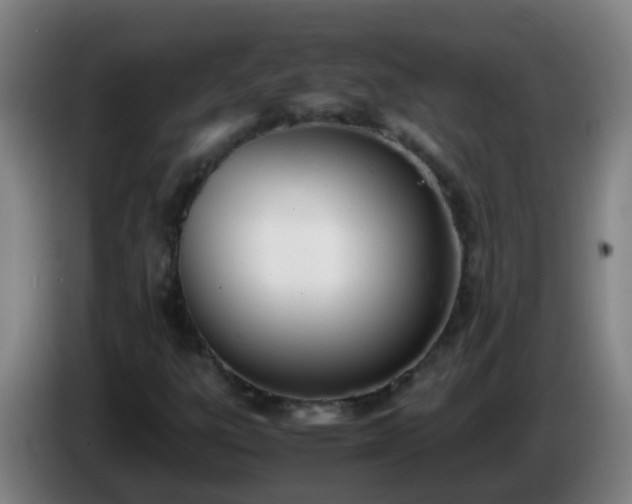 X0000086111303200703301228