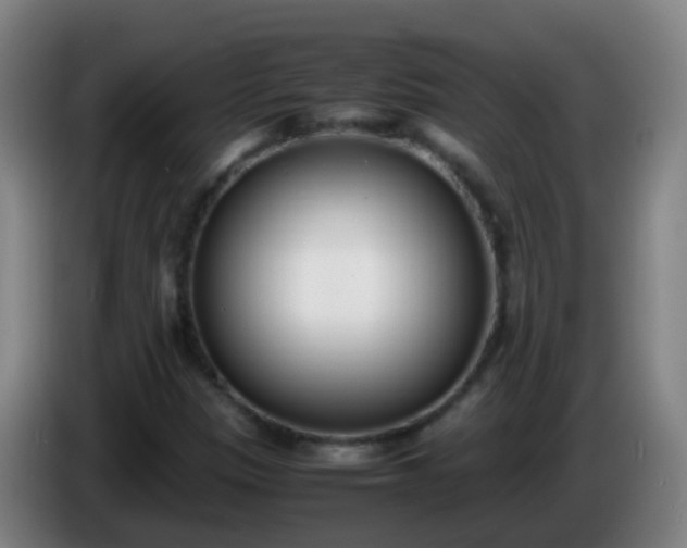 X0000086111305200703301228