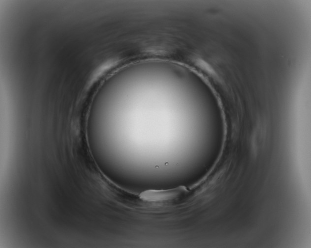 X0000086111307200703301228