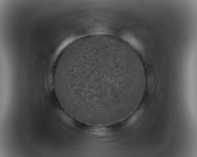 X0000086111310200703301228