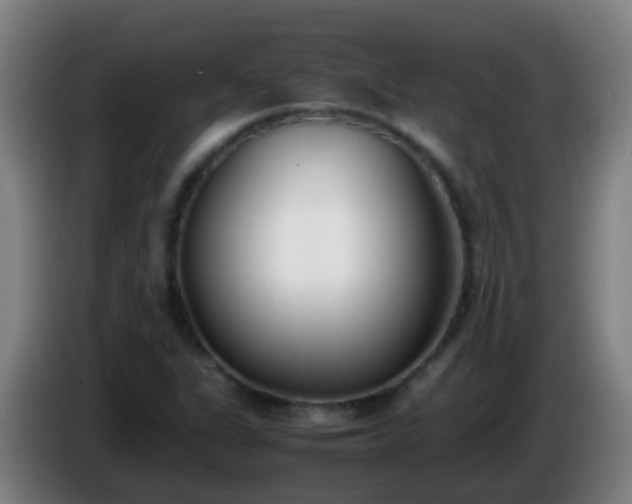 X0000086111311200703301228