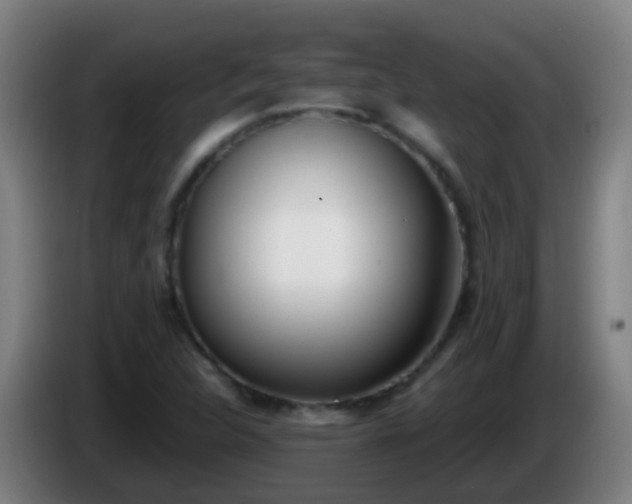 X0000086111312200703301228