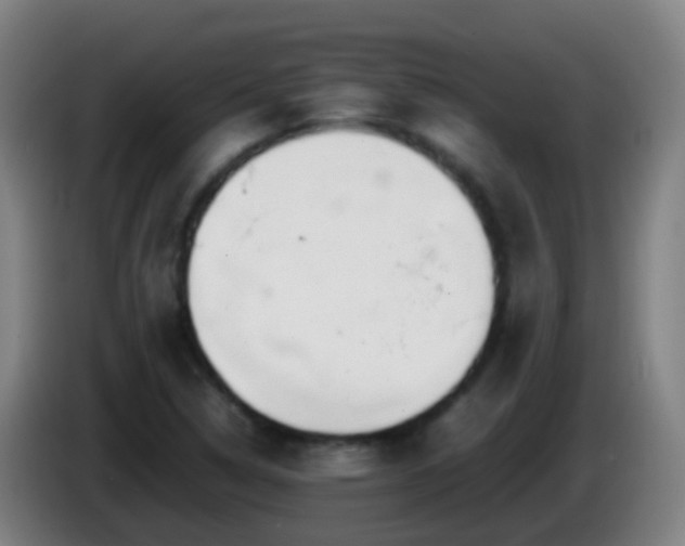 X0000086111314200703301228