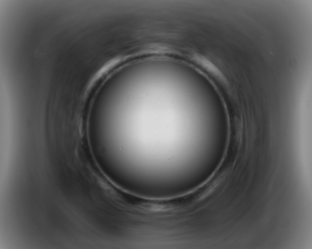 X0000086111318200703301228